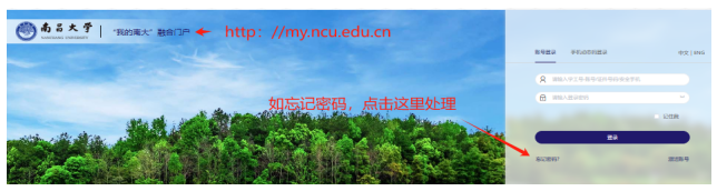 fa4e2282fbbe40daa38dea265d9f4806.png image.png