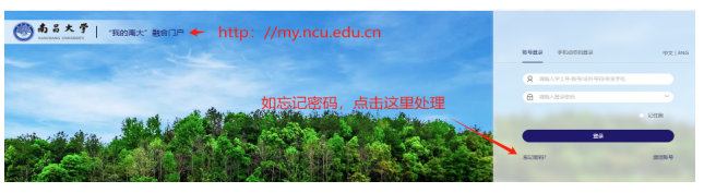 1744600132600.png